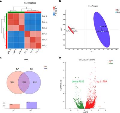 Comparative transcriptomic analysis and validation of the ovary and testis in the ridgetail white prawn (Exopalaemon carinicauda)